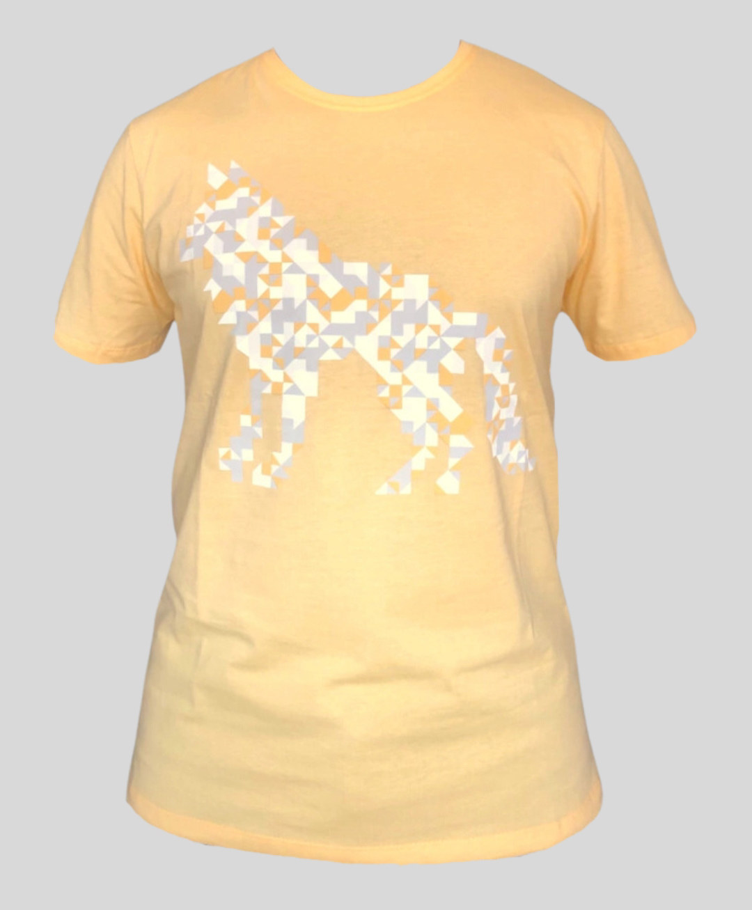CAMISETA MASC. CELEBRATION ACOSTAMENTO REF. 96102098 — Amarelo